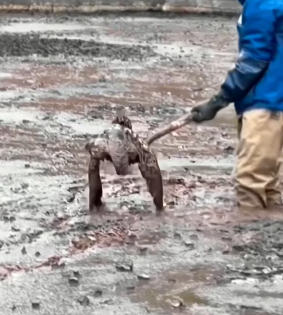 T3112027 Every pull was a fight to stay alive.