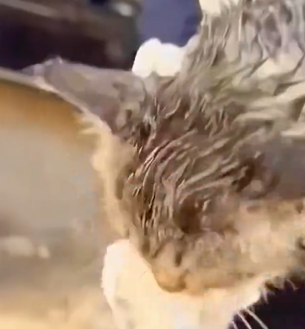 T3112029 He could see freedom… but couldn’t reach it.