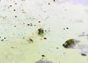 T3112032 Whatever touched him… almost took everything.