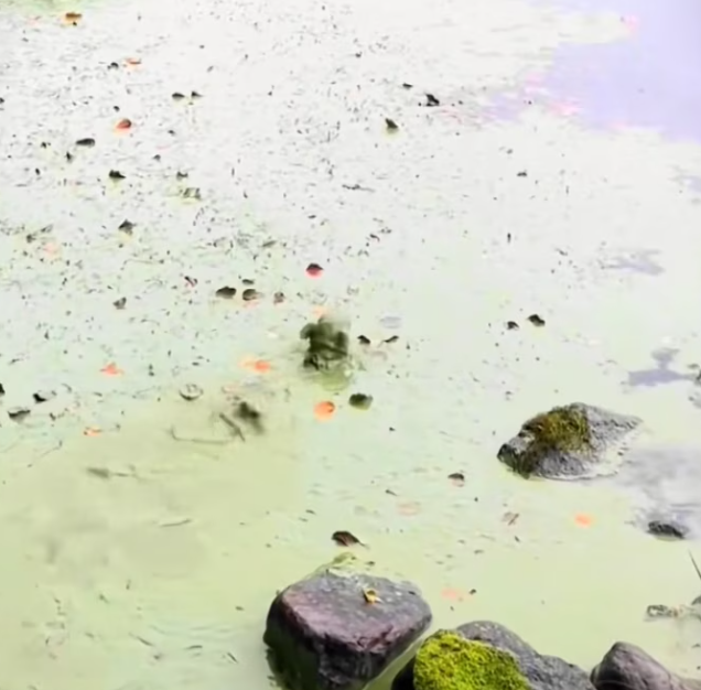 T3112032 Whatever touched him… almost took everything.