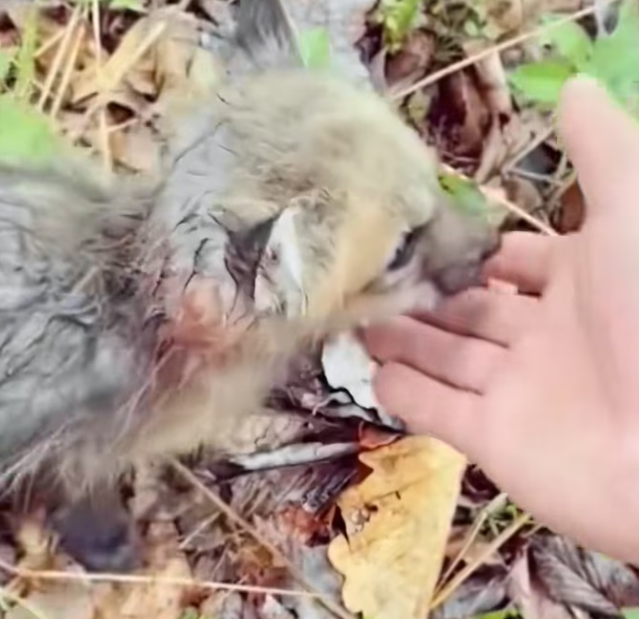 T3112036 He leaned into the only warmth he felt.