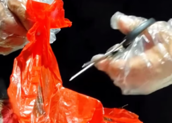 T3112037 Someone tied him up… and walked away.