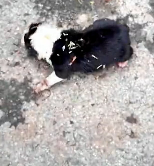 T3112038 He moved forward… but nowhere felt safe.