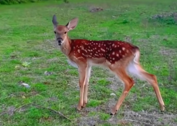 T3112039 One step into the wrong place changed everything.