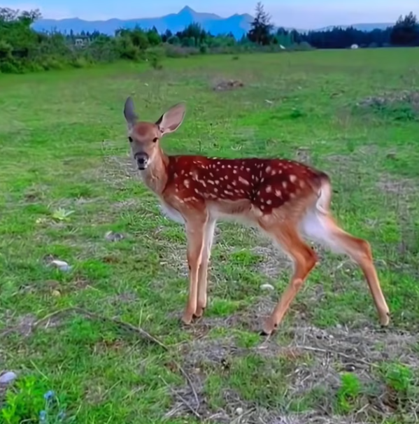 T3112039 One step into the wrong place changed everything.