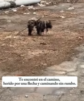 T0512007 Little one, now on, you ll never go hungry or feel alone again.