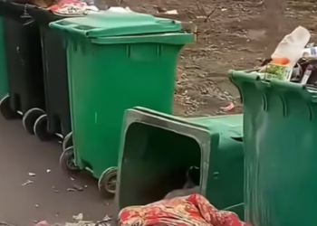 T0512040 poor dog#fyp #dogs #helpanimals #loveanimals #foryou