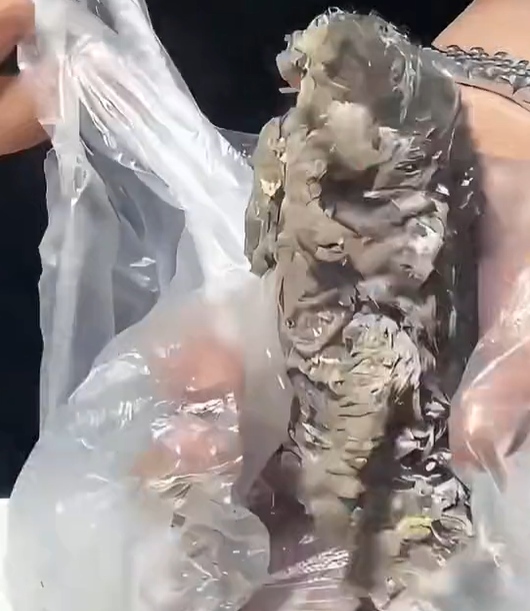 T1212007 Rescue kitten trapped in cement #rescue #cute #helpanimals #love…