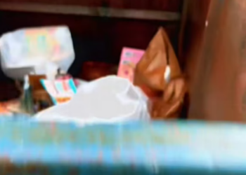 T1712034 heard little cat cries in garbage dump then #rescue