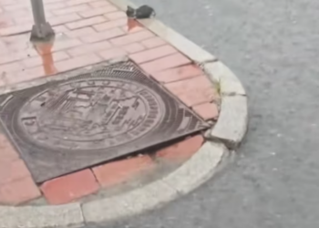 T1712035 picked up wet little cat by roadside on rainy day