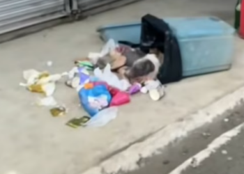 T1812008 Rescue of an abandoned dog near garbage can #heroes