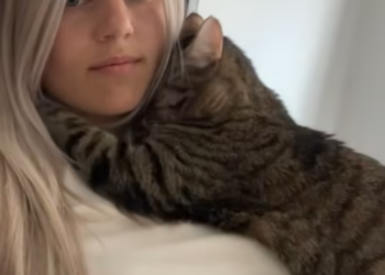 T1812025 couple rescued cat stuck in net adopted it #animals #rescue