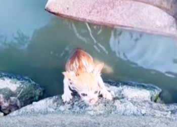 T3112007 One slip… and everything could disappear.