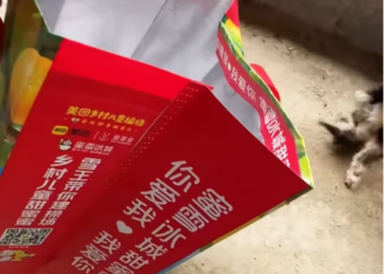 T0801004 Cold ground, empty night, and no one coming.