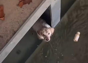 T0501005 So small… so fragile… completely alone.