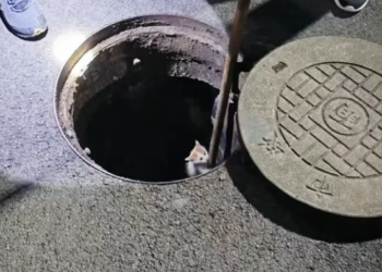 T0801005 His body trembled long before his voice did.