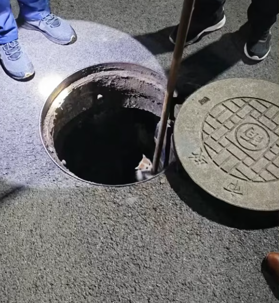 T0801005 His body trembled long before his voice did.