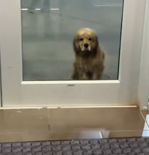 T0801008 Shivering wasn’t weakness — it was survival.