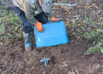 T0801013 His eyes begged before his body could move.