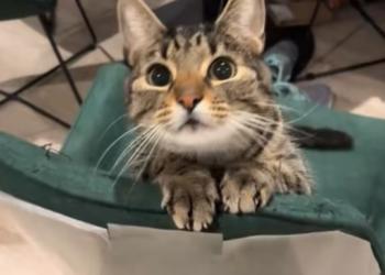 T0801014 Alone doesn’t always mean quiet.