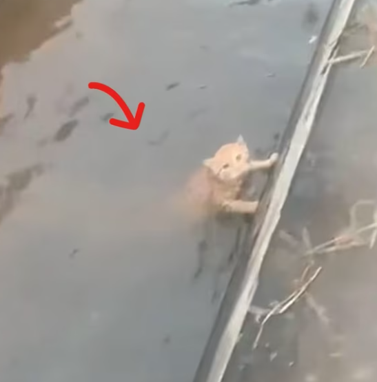 T0801016 Every second felt colder than the last.