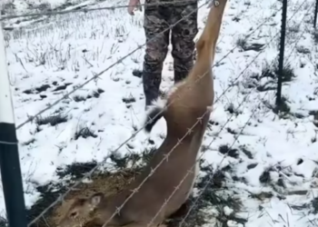 T0801018 He learned pain before he learned love.