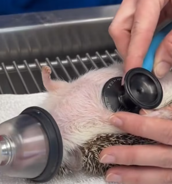 T0801019 The ground showed no mercy.