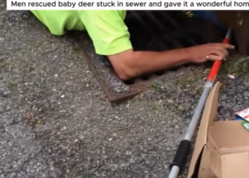 T0801021 Still breathing… still waiting.