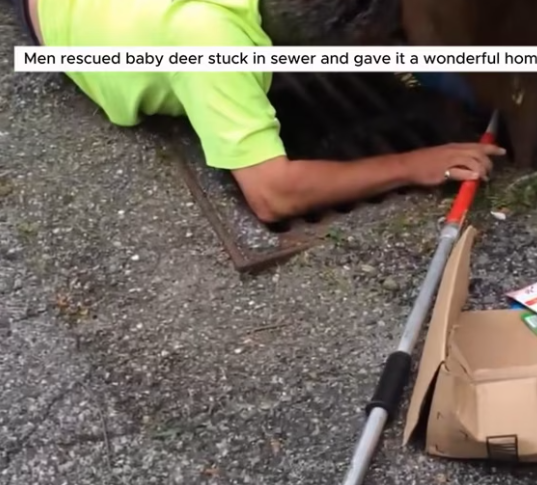 T0801021 Still breathing… still waiting.