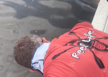 T0801022 Fear shook him harder than the cold.