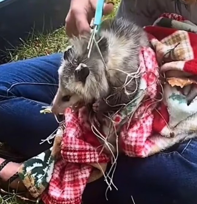 T0801024 The world passed by, pretending not to see.