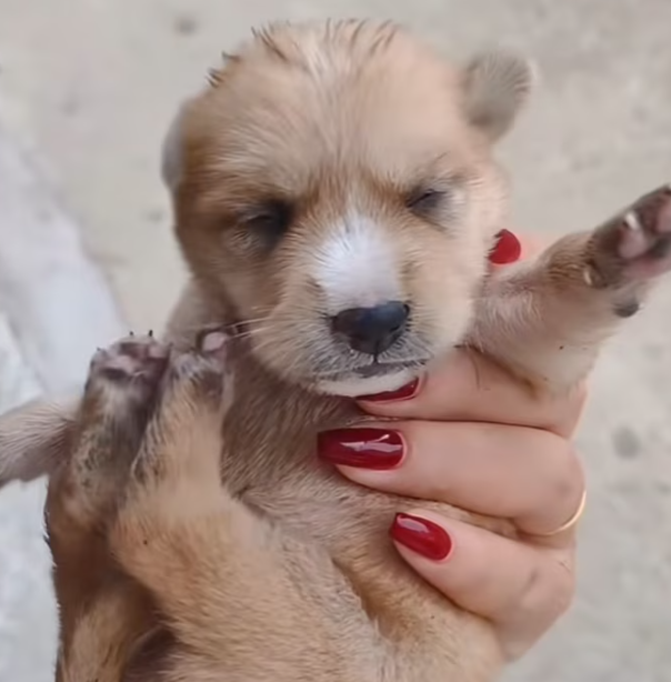 T0501007 He tried to move… even when his body said no. 💔