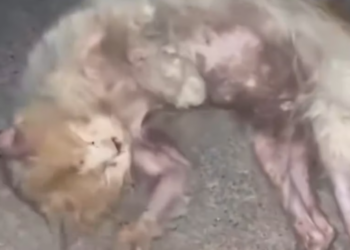 T0801026 Even silence felt heavy.