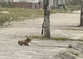 T0801027 He curled up, hoping pain would stop.