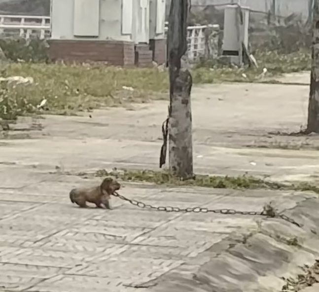 T0801027 He curled up, hoping pain would stop.