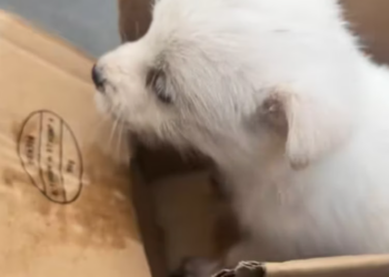 T0801031 No home, no name, no comfort.