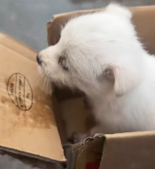 T0801031 No home, no name, no comfort.