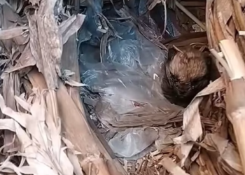 T0501008 Years on the street… and nowhere left to go.