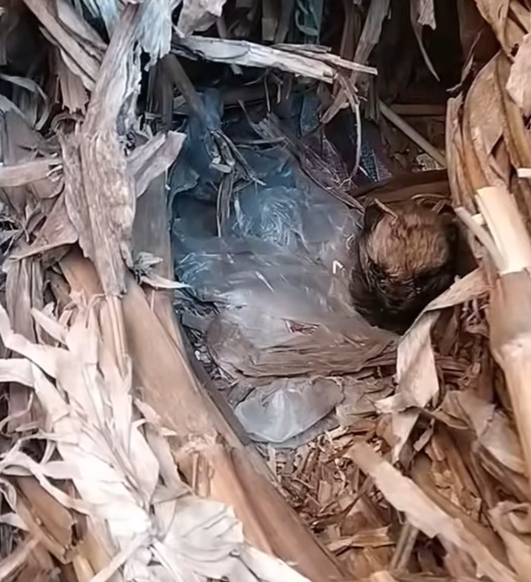 T0501008 Years on the street… and nowhere left to go.