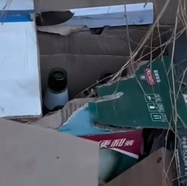 T0801036 He stayed still, afraid moving would hurt more.