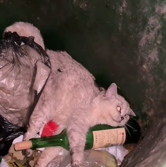 T0501010 Cold, scared… and holding on with everything left.