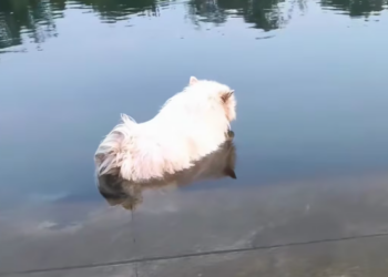 T1101014 One step closer to the end… or to rescue.