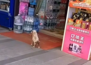 T1101016 Waiting for kindness in a cruel place.