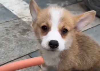 T1101019 Every second mattered for him.