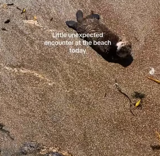 T1101022 Every breath was pain, yet giving up was never an option.