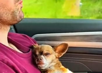 T1101025 Pain followed him everywhere, even when the world looked away.