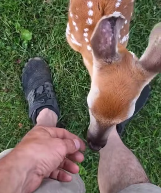 T1101032 Cold ground, broken body, and eyes begging for help.