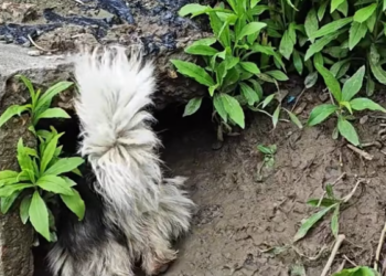 T1101035 No shelter, no warmth, only pain and fear.