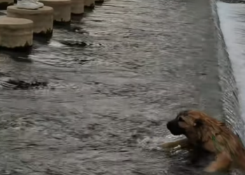 T1101040 One life, one chance, one moment that could change everything.