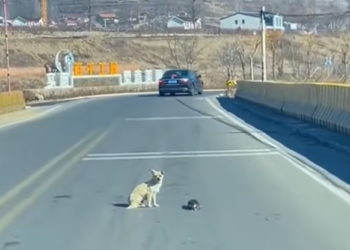 T1501007 Each cry was a question: “Does my life matter at all?”